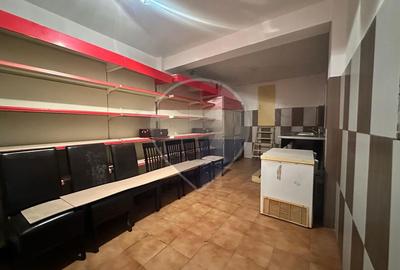 Vila de inchiriat-Saftica - 31