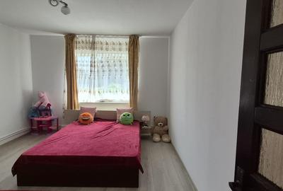 Casă renovată + anexă gospodărească, de vânzare în Gârdani, Maramureș - 8