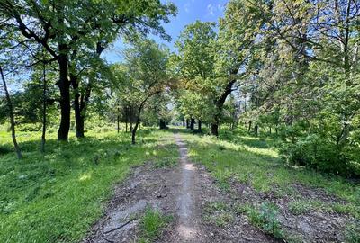 DOMENIU EXCLUSIVIST DE VANZARE – URLATI, PRAHOVA - 2