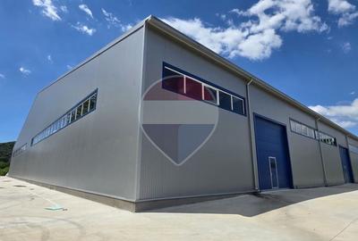 Hala industriala noua de inchiriat 9700 MP 600 KVA pret tva inclus - 11