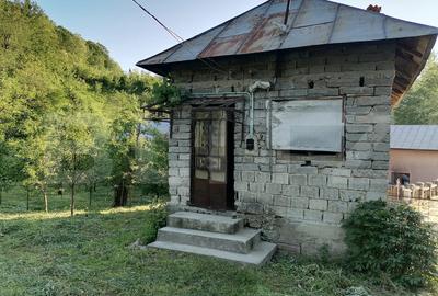 Casă individuală cu 2 camere în Gemenea-Brătulești