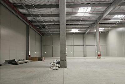 Spatiu Industrial - 900 mp - Logistica - Depozitare - Distributie - 2