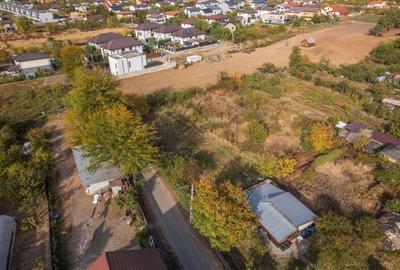 | Teren Intravilan Domnesti 585 mp-Investitie | - 7