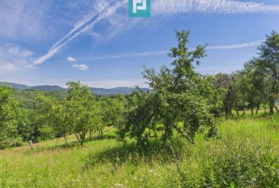 Casă de vacanță cu 2 corpuri si view în Dulcele - 25