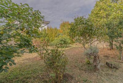 Vilă de închiriat P+1+M cu subsol, curte de 1.000 mp și livadă - 8