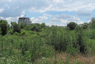 Prelungirea Ghencea, Stradal, Pasaj Domnesti - 3