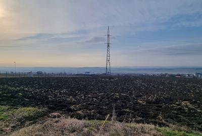 Teren agricol intravilan de 3202 mp, în Lețcani
