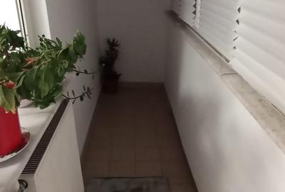 Vanzare apartament 3 cam la parter cu balcon stradal zona Parc Sebastian sect 5 - 13
