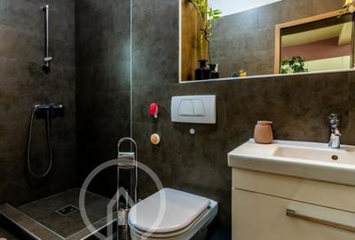 Casa individuala de vanzare in Faget 360mp cu teren de 1100 mp - 9