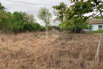 Teren intravilan 2562mp Loc 23 August | Ideal locuiță sau casă vacanță - 9