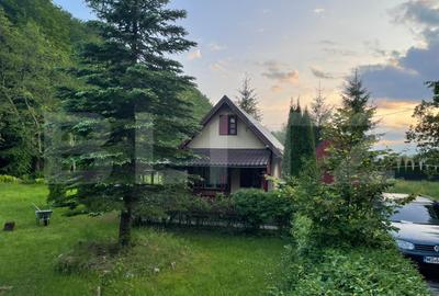 Casă individuală cu 3 camere în Câmpu Cetății