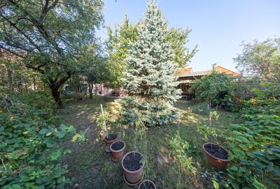 Casă de închiriat | Str. Tudor Vladimirescu | Zonă cu acces facil - 10