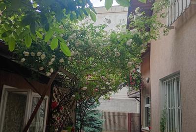 Casă cu venit din chirie, în buricul târgului – locuință + spațiu comercial - 8