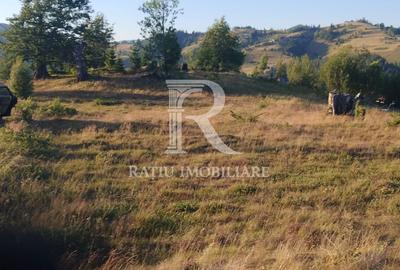 Teren Construcții intravilan de 3000 mp, în Gârda de Sus