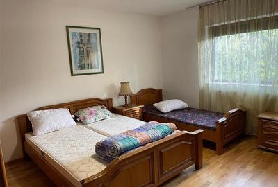 Cabana/Vila de inchiriat Valea Budului, Margineni - 17