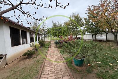 Casa D+P+M, 713 MP teren, 300 MP utili, Carcea, zona Metro - 12