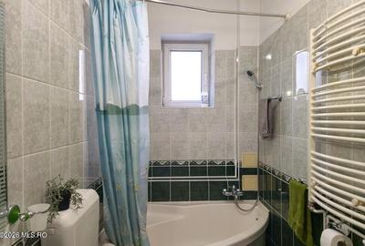 Lunei - Ion Neculce, 2 Apartamente. Mansarda 157 mp. Anexe, Lot 475 mp - 31