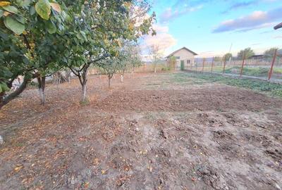 Casa P+1+M, 6 camere, garaj, beci, Nicolae Balcescu - 37