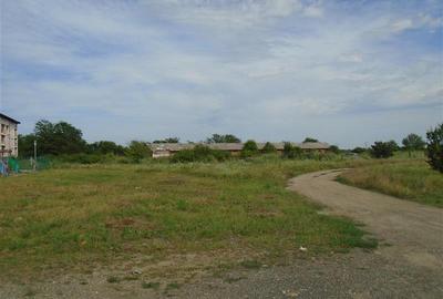 Pentru DEZVOLTATORI si INVESTITORI! Teren intravilan, 15.000 mp, Micalaca - 3
