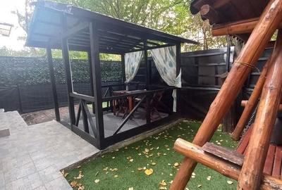 De Inchiriat Apartament 2 camere Piata Muncii, curte proprie, pet friendly! - 2