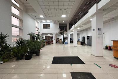 Spatii comerciale 330, 505, 835mp, sos. Pacurari, rond Mall Moldova - 2