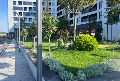 Apartament cu 1 camera Tatarasi-Venetia Cod 157692 - 8
