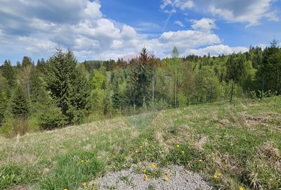 Teren 4048mp Campulung Moldovenesc, Strada Izvorul Alb, Suceava - 8