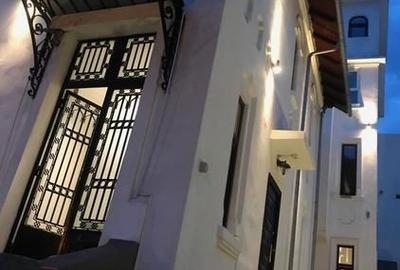 Vila integrala de inchiriat in zona Kiseleff Aviatorilor - 13