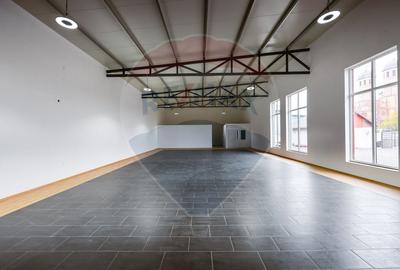 Spațiu Comercial de închiriat,  450 mp utili - Aleșd - 7