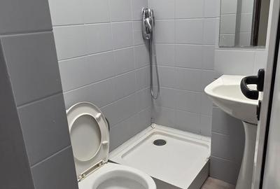 Apartament spatios, 3 Camere, 2 bai, 3 balcoane, Tătărași Spitalul de Copii - 8