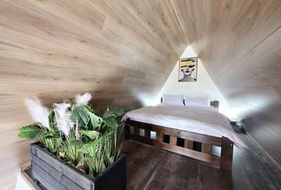AFACERE LA CHEIE | Complex Turistic Premium A-Frame + Piscină | Snagov - 13