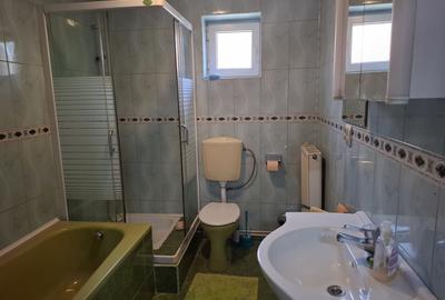 Proprietate mixtă de vânzare în Nădlac – Casă modernă + hală/grajd + teren mare - 20