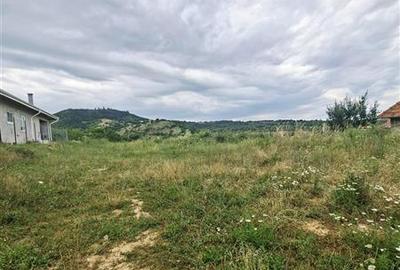 Teren intravilan de vanzare Saliste - 3