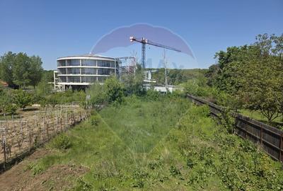 Vilă vedere lac teren 1562 mp + casa secundara veche  Snagov - 10