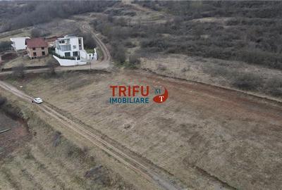 Teren Construcții intravilan de 747 mp, în Cetate