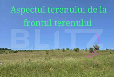 Teren Construcții intravilan de 1100 mp, în Sălicea