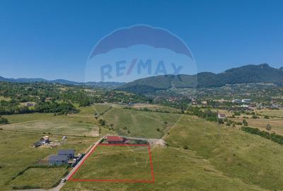 Teren Bran - Sohodol intrare 900-4800mp - 4