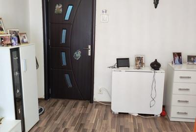 Colentina, Doamna Ghica, Parc Plumbuita, semistradal - 3