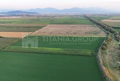 Teren extravilan, 8700 mp, pretabil agricultură sau investiție - Bod - 2