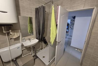 AP. 3 CAMERE- IANCULUI, PET-FRIENDLY, REABLITAT, MASINA DE SPALAT VASE - 8