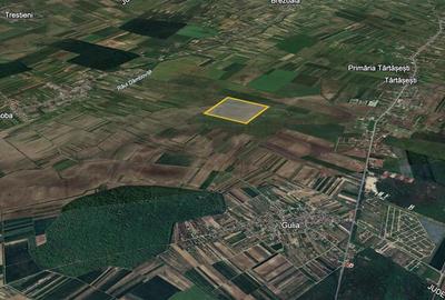 Teren agricol extravilan de 235000 mp, în Tărtășești