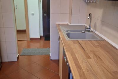 Aprtament 2 camere mobilat si utilat. - 22