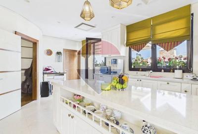 Penthouse duplex 7 camere | 711 mp suprafata totala | terasa 341 mp - 7