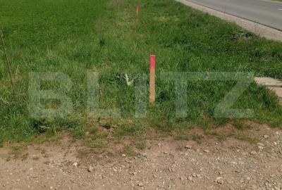 Teren Construcții intravilan de 7500 mp, în Tărlungeni
