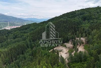 Oportunitate! Domeniu montan, cu lac propriu, oras Lupeni, Hunedoara - 14