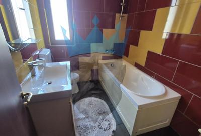 Casa 7 Camere Dobroesti - 11