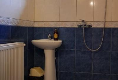 MIHAI BRAVU-METROU,ETAJ1,IN VILA 5 CAM 150 MP,SUPERB,700 EURO - 11