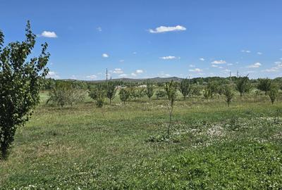 Teren Construcții intravilan de 23020 mp, în Răscruci