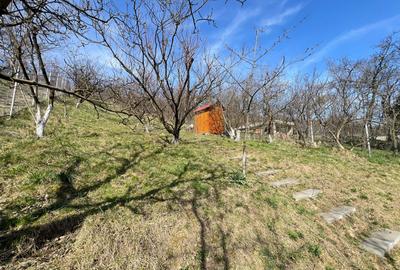 Vila de LUX,  4 camere , 140 mp, curte, garaj, terasa , Grigorescu - 17