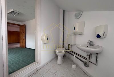 Spatiu pentru birouri | Sagului - 9